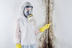 Best Mold Remediation for Healthcare Facilities  in , MN